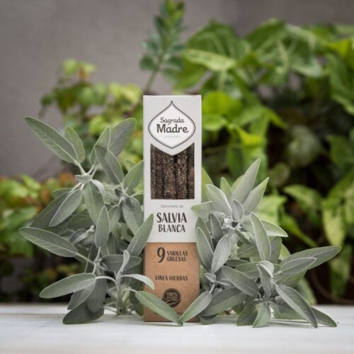 Varillas de Incienso Sagrada Madre Salvia Blanca