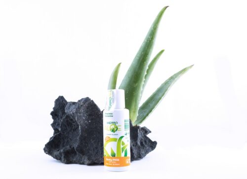 Body Milk 100ml Hierro Aloe