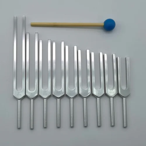 Set de 7 diapsones  de los chakras