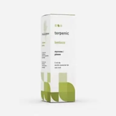 ACEITE ESENCIAL LENTISCO - 5 ML